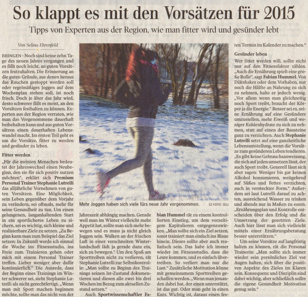 Bericht Vorsätze 2015 SZ 08.01.2015